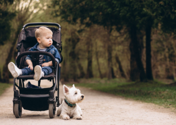 Ranko Rajović: Dete je napunilo dve godine? Gotovo, kraj, nema više kolica. Dajte ih nekom ko ima manje dete