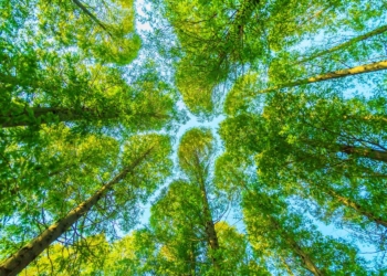 05.jun – Svetski dan zaštite životne sredine