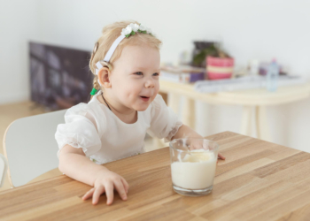 jogurt